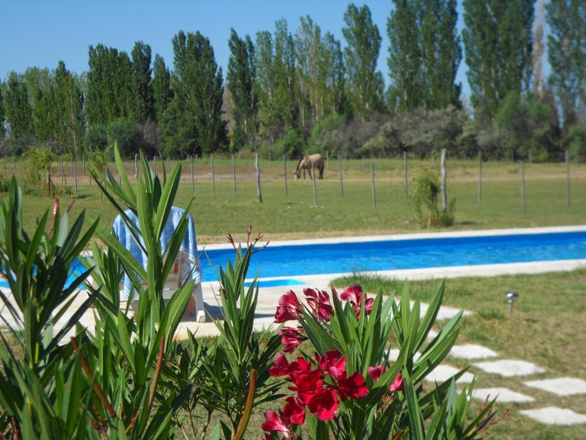Casa De Campo Las Olivas San Rafael  Exteriér fotografie