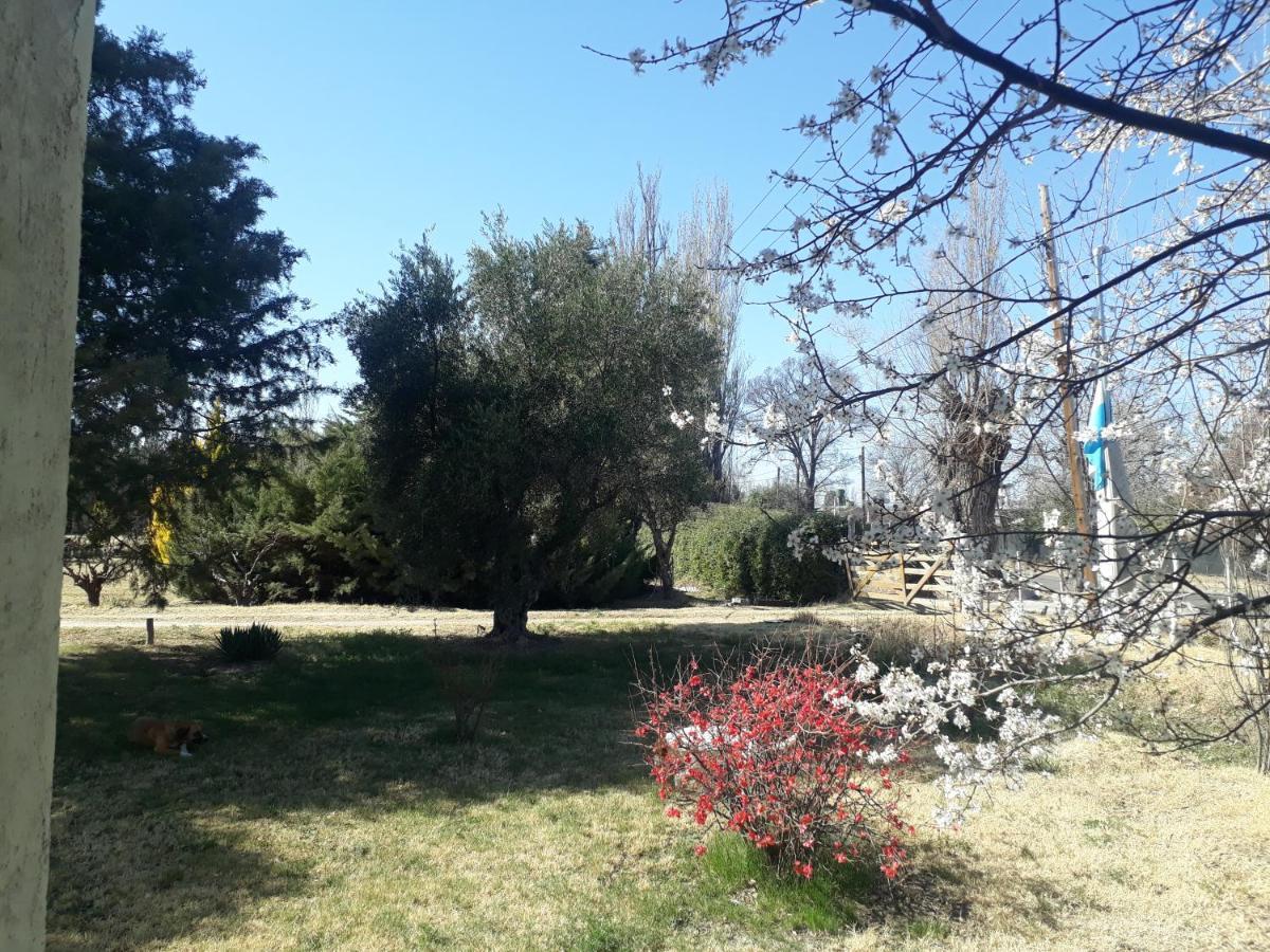 Casa De Campo Las Olivas San Rafael  Exteriér fotografie
