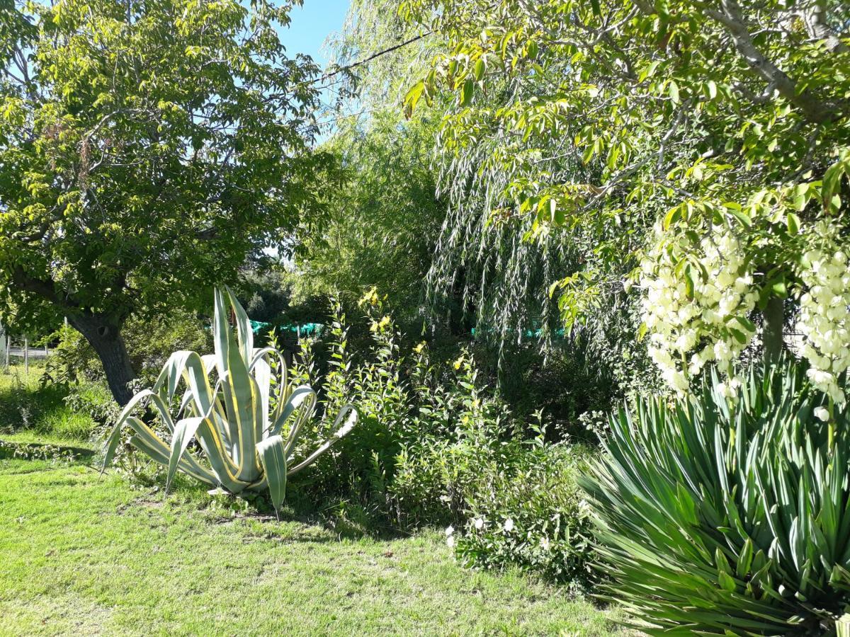 Casa De Campo Las Olivas San Rafael  Exteriér fotografie